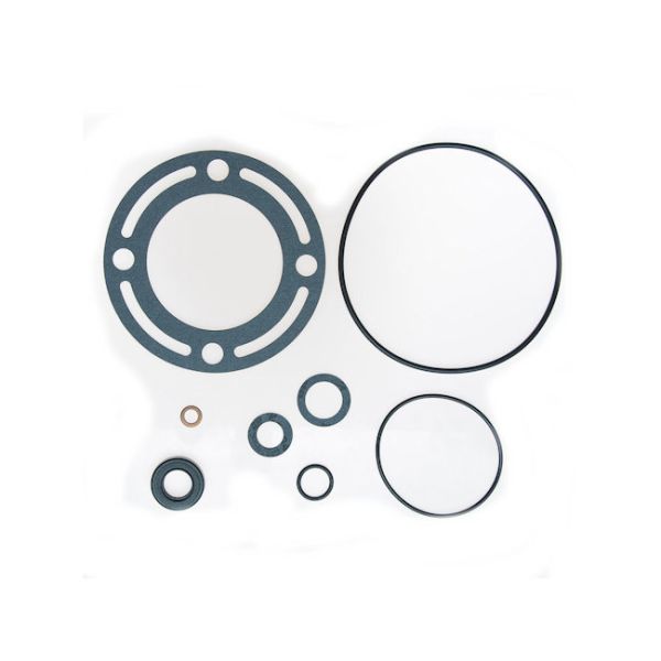 Servopumpen Dichtsatz, für Ford Pumpe, Bj 65-66