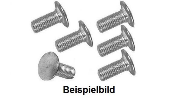 Schrauben,Edelstahl, Kotflügel vorne, Bj. 48-52