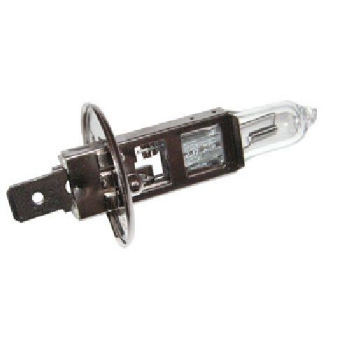 Glühbirne / Glühlampe H1 für 147mm Umrüstscheinwerfer
